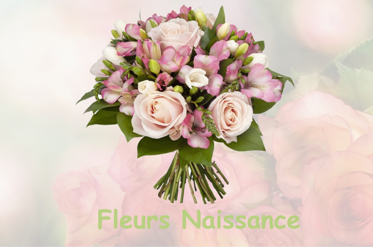 fleurs naissance BERGOUEY