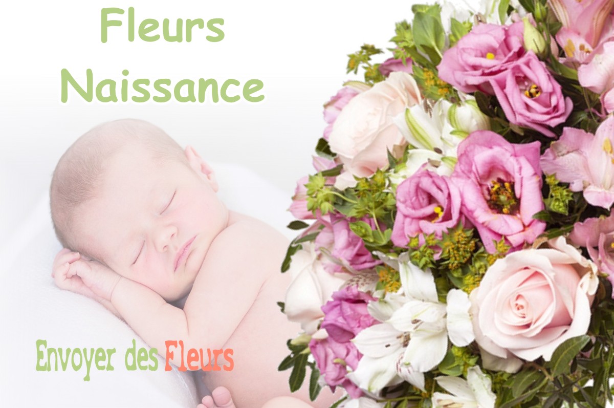 lIVRAISON FLEURS NAISSANCE à BERGOUEY